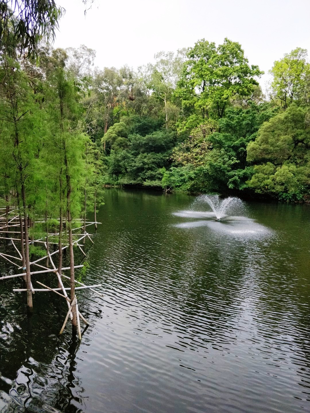 鹿鸣酒家麓湖