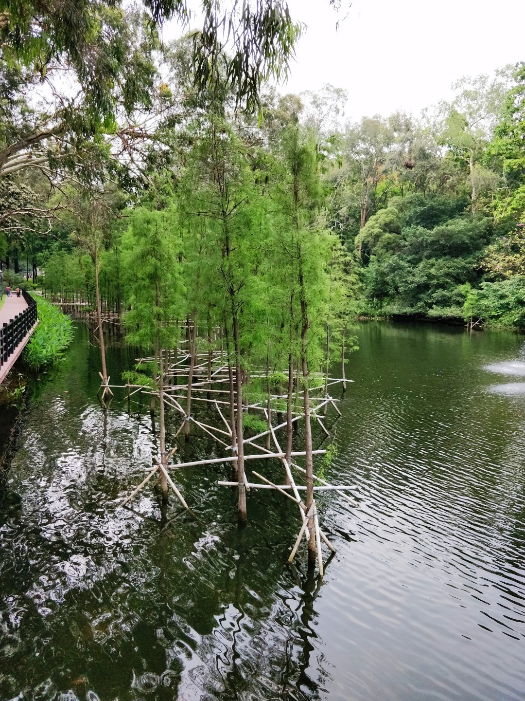 鹿鸣酒家麓湖