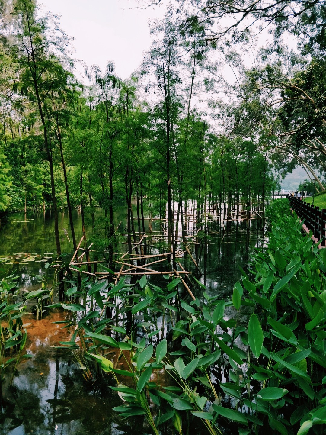 鹿鸣酒家麓湖